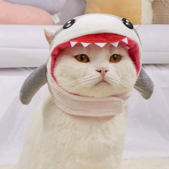 Shark hat for small/medium pets - Picture 4 of 4